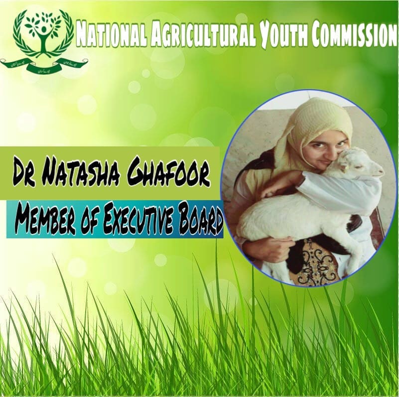 Selected as Executive Board Member  by National Agricultural Youth Commission (NAYC) of Pakistan.