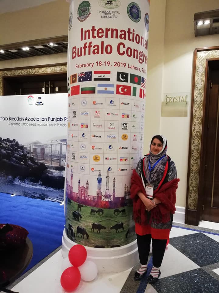 Participated in International Buffalo Congress (IBC-2019) arranged by University of Veterinary and Animal Sciences Lahore, Pakistan