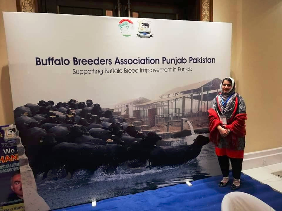 Participated in International Buffalo Congress (IBC-2019) arranged by University of Veterinary and Animal Sciences Lahore, Pakistan