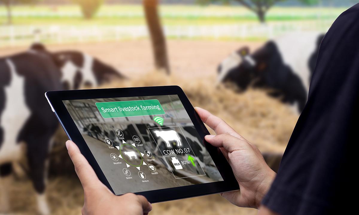 How AI is changing Livestock Farming?